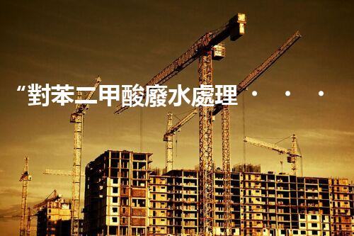 “對苯二甲酸廢水處理，綠色創(chuàng)新引領環(huán)保新篇章”